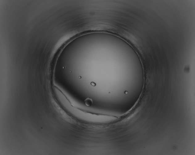 X0000091561122200708311409