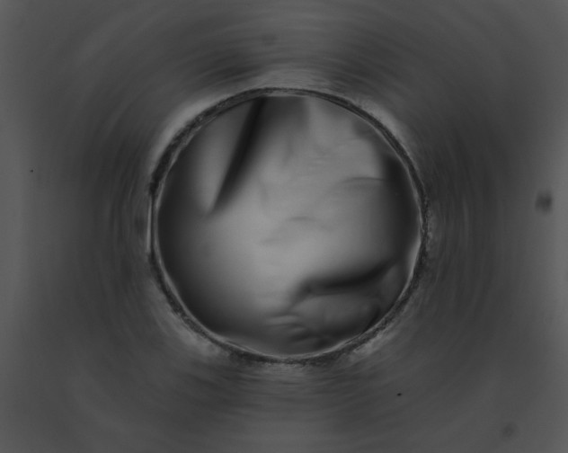 X0000091561123200708311409