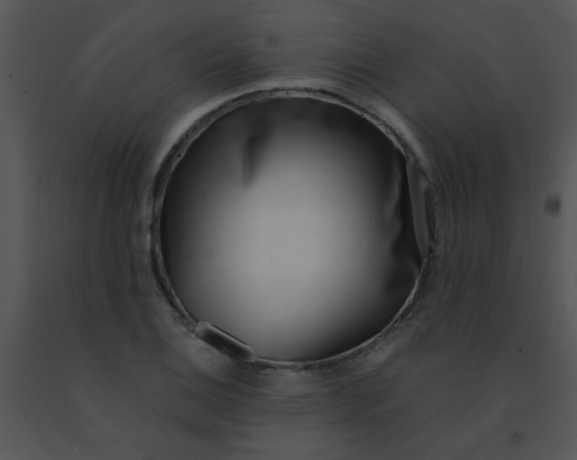 X0000091561124200708311409