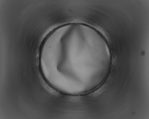 X0000091561126200708311409