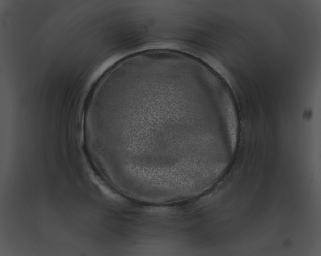 X0000091561127200708311409