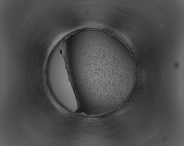 X0000091561128200708311409