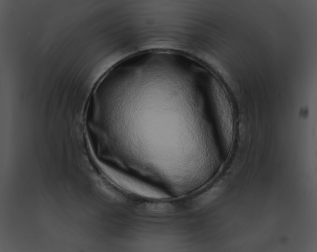 X0000091561129200708311409