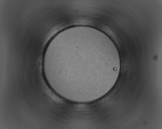 X0000091561130200708311409