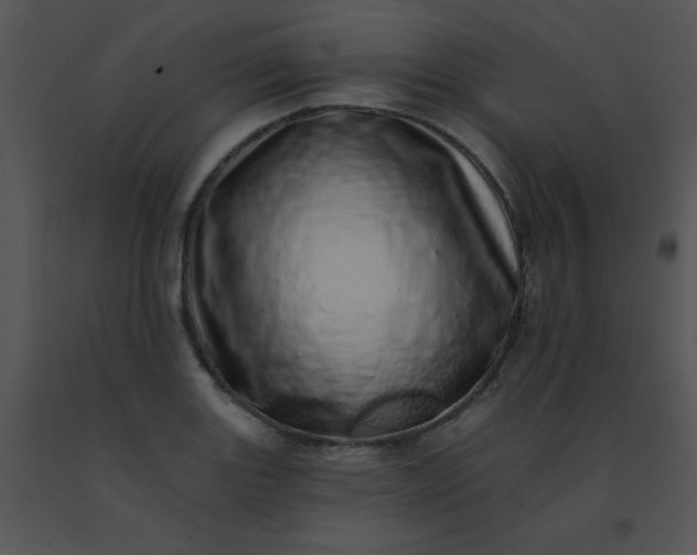 X0000091561131200708311409