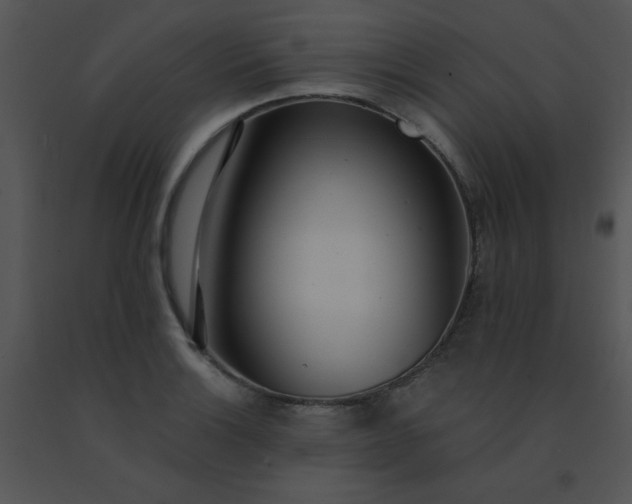 X0000091561132200708311409