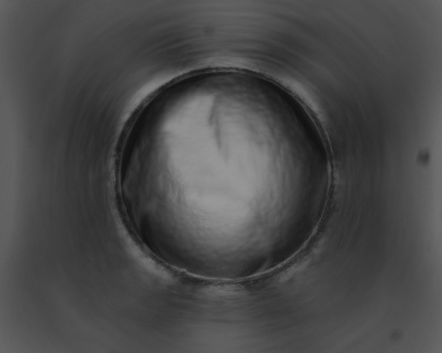 X0000091561133200708311409