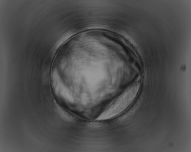 X0000091561137200708311409