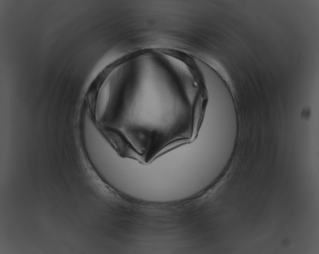 X0000091561138200708311409