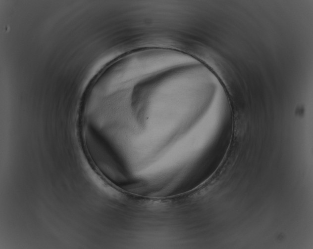 X0000091561139200708311409