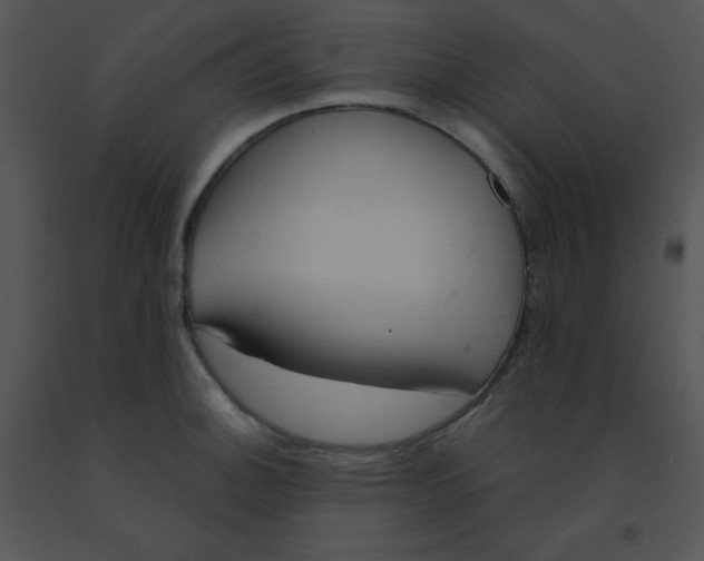 X0000091561140200708311409