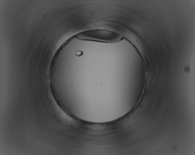 X0000091561141200708311409