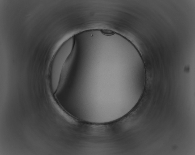 X0000091561142200708311409