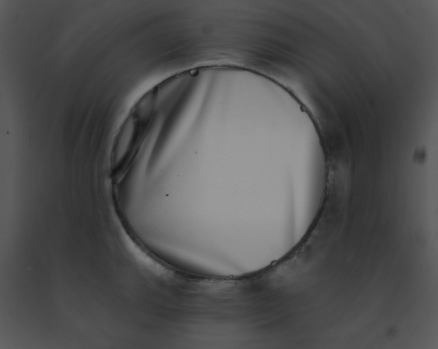 X0000091561143200708311409