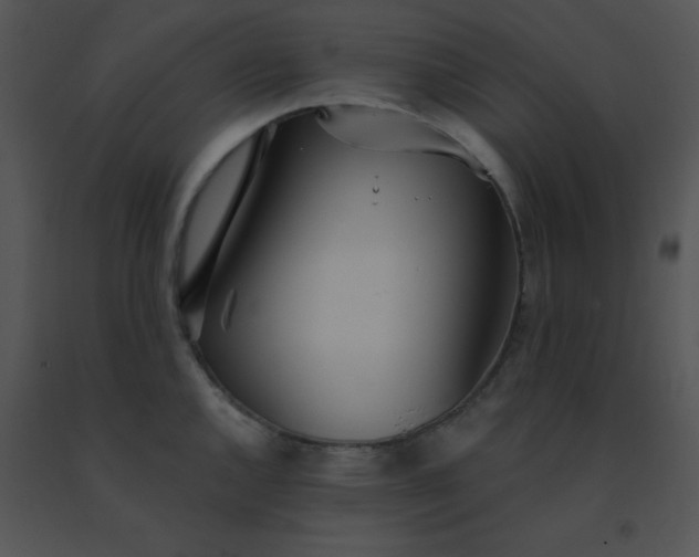 X0000091561144200708311409