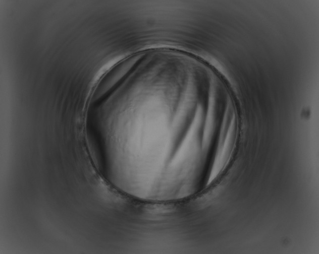 X0000091561145200708311409