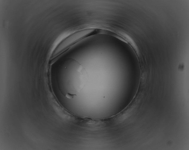 X0000091561146200708311409