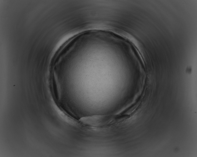 X0000091561147200708311409