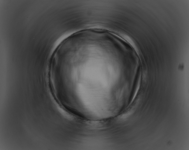 X0000091561149200708311409