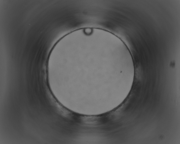 X0000091561150200708311409