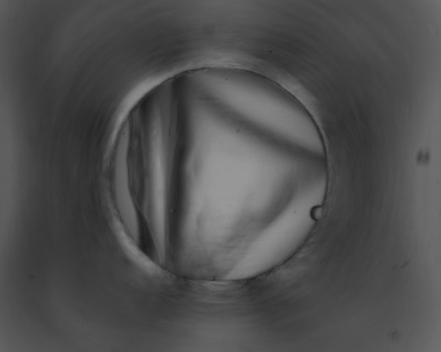 X0000091561152200708311409