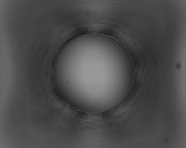 X0000091561153200708311409