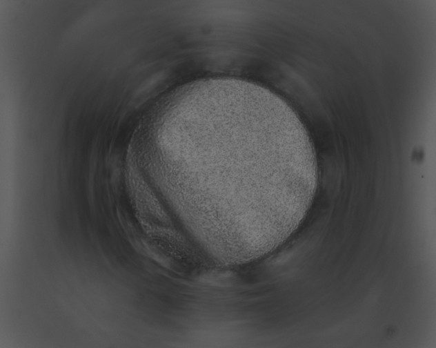 X0000091561154200708311409