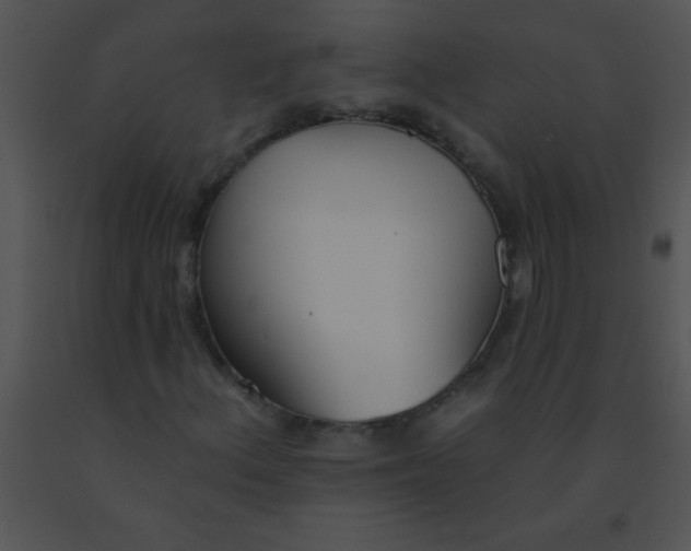 X0000091561156200708311409