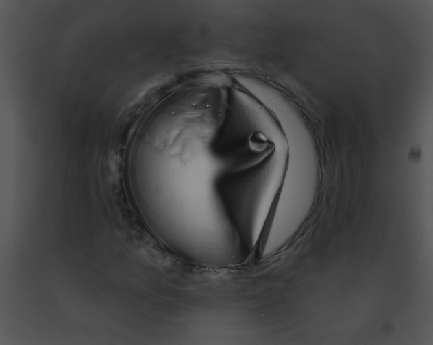 X0000091561157200708311409