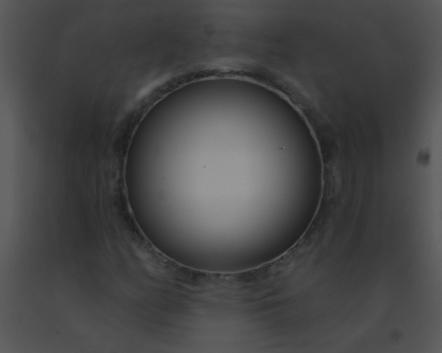 X0000091561158200708311409