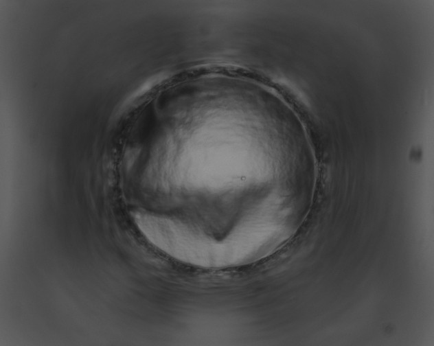 X0000091561159200708311409