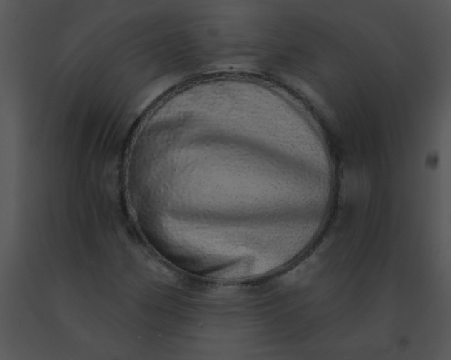 X0000091561162200708311409