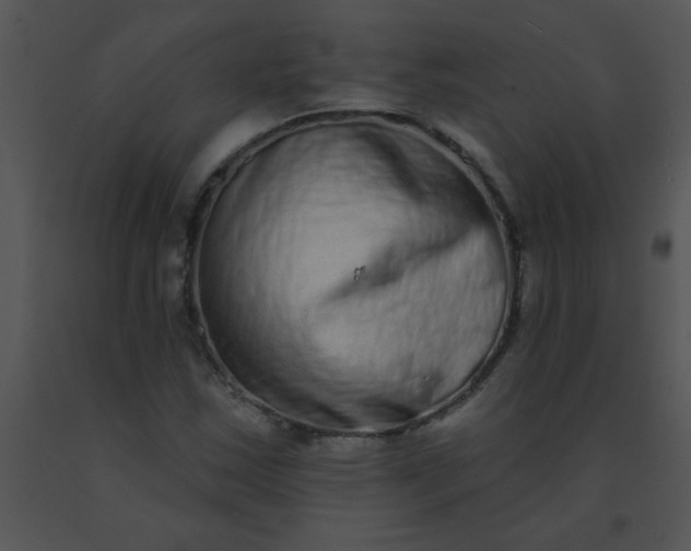 X0000091561163200708311409