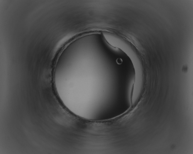 X0000091561164200708311409