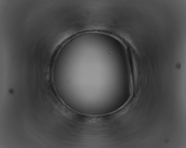 X0000091561165200708311409