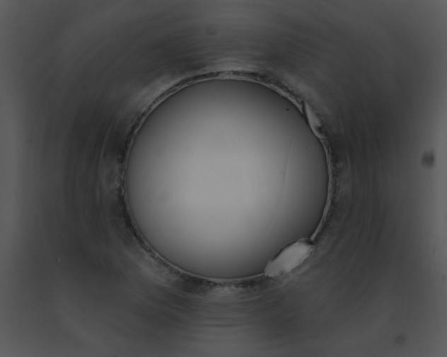 X0000091561169200708311408