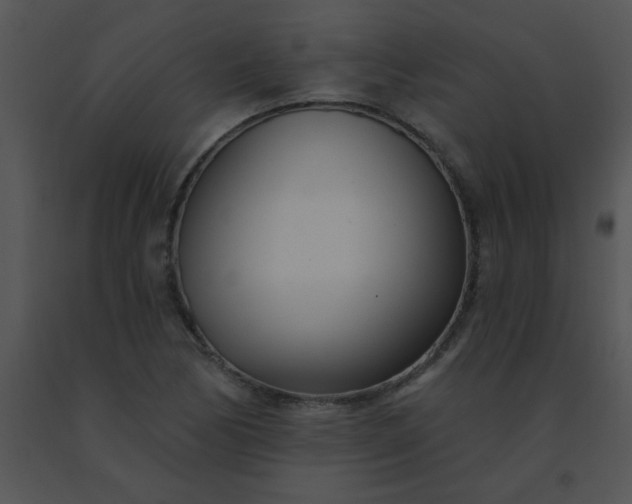 X0000091561170200708311408