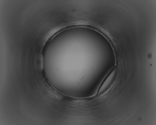 X0000091561171200708311408