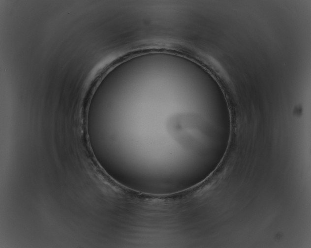 X0000091561172200708311408