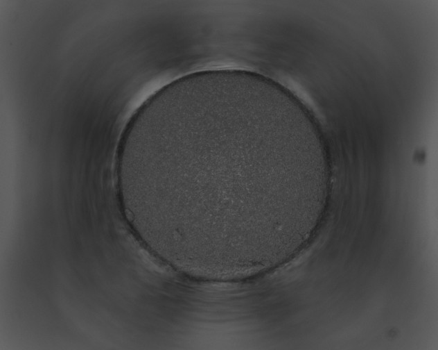 X0000091561173200708311408