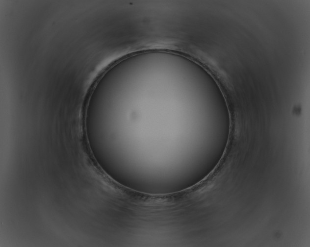 X0000091561174200708311408