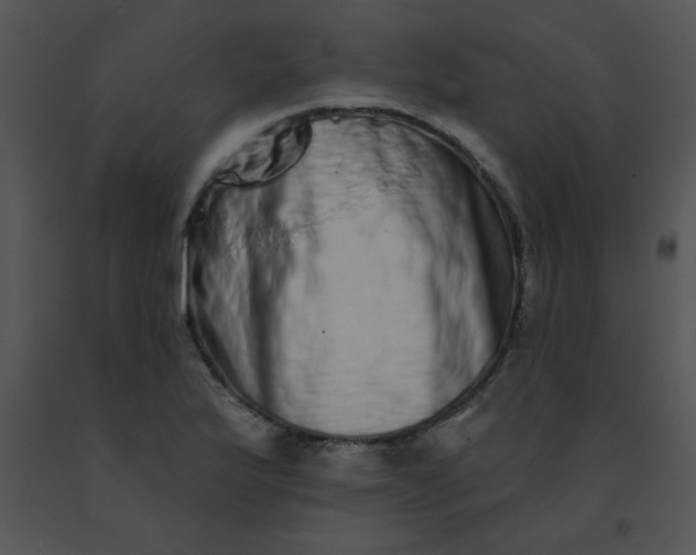 X0000091561175200708311408