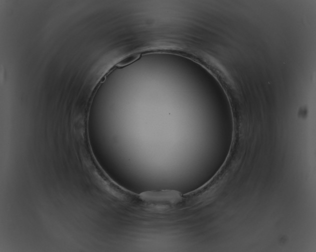 X0000091561177200708311408