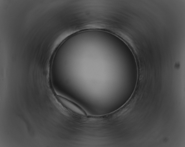 X0000091561179200708311408