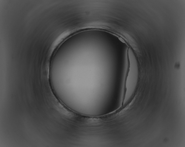 X0000091561180200708311408