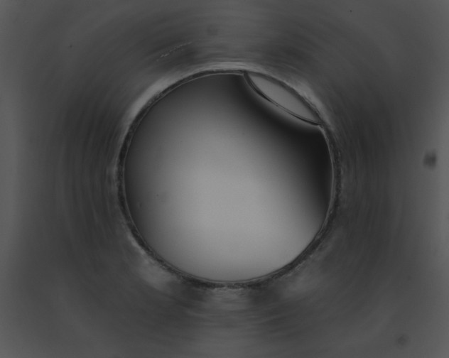 X0000091561181200708311408