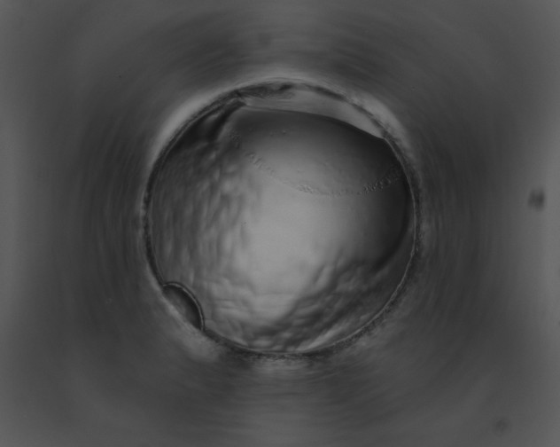 X0000091561183200708311408