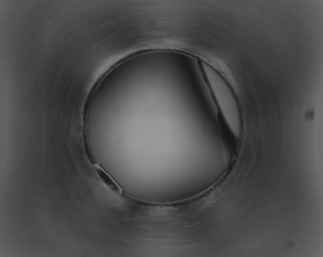 X0000091561184200708311408