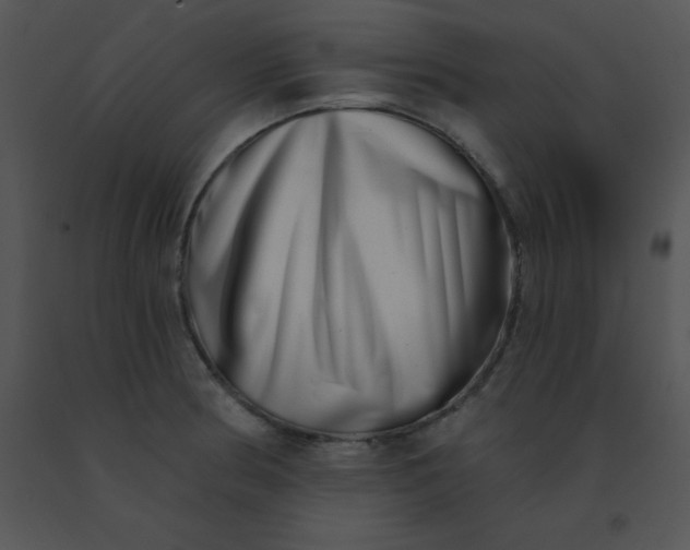 X0000091561186200708311408