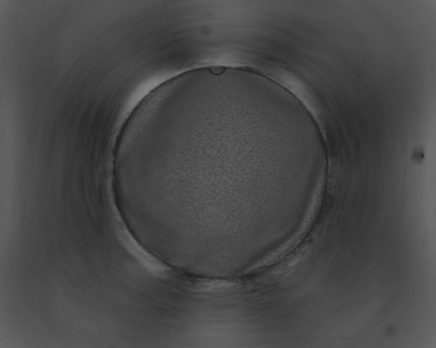 X0000091561187200708311408